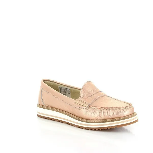 Torretti 302 Rose Gold
